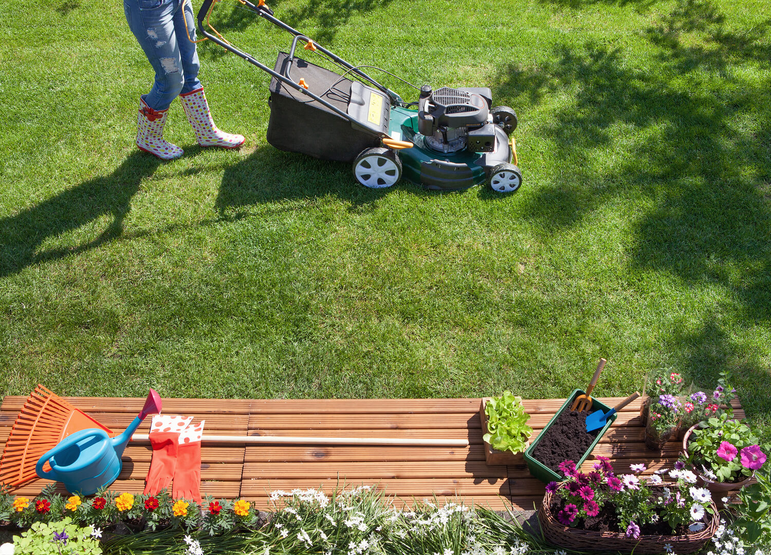 home-decor-and-garden